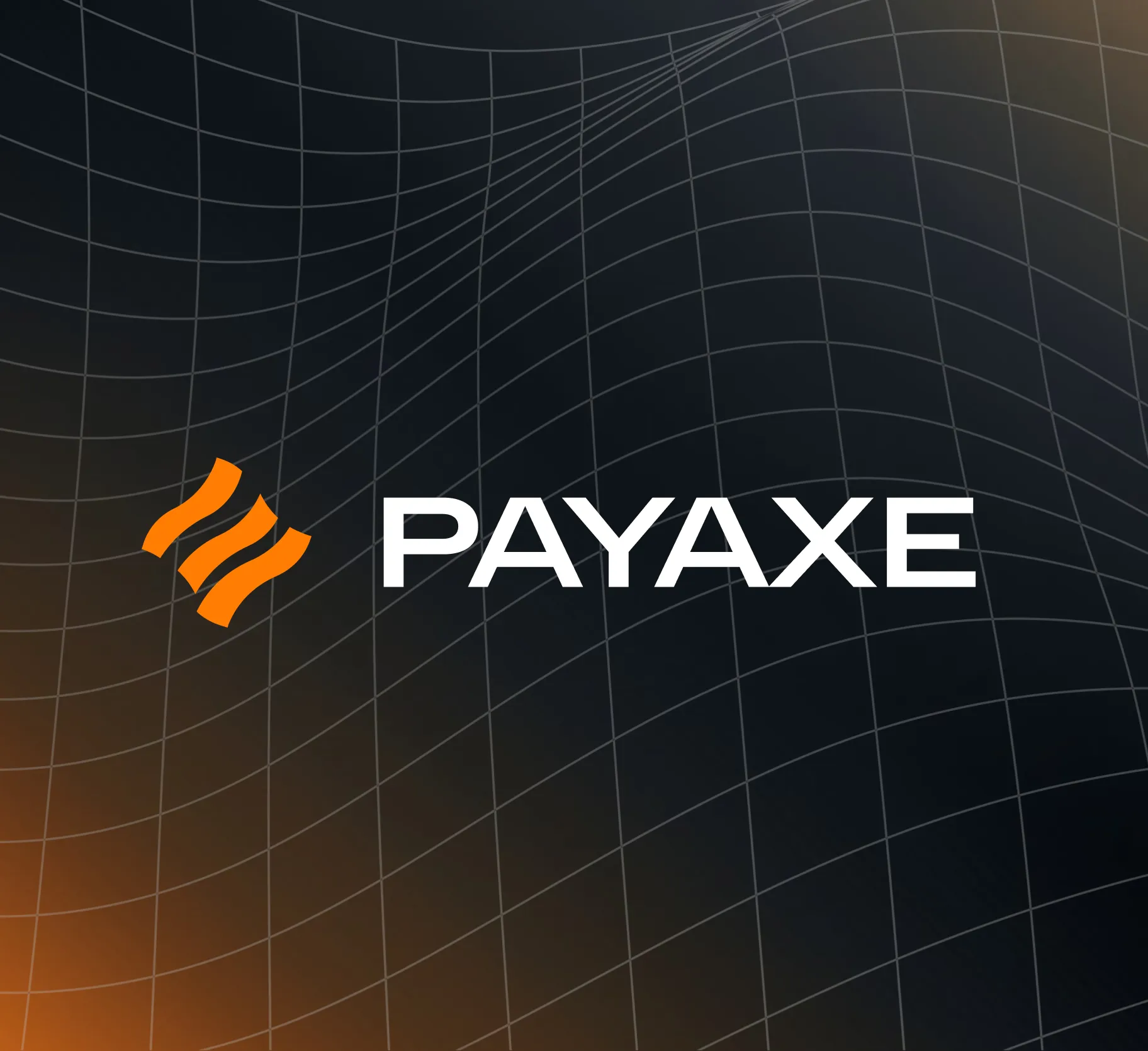 PayAxe logotype on a dark grid background